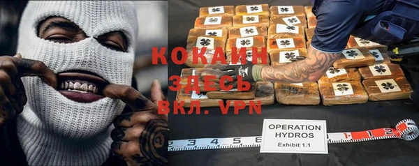 ECSTASY Сосновка